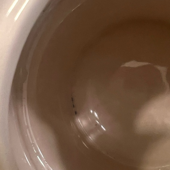 Mr. Boddington’s Studio for Anthropologie Tea for One Set - Picture 8 of 8